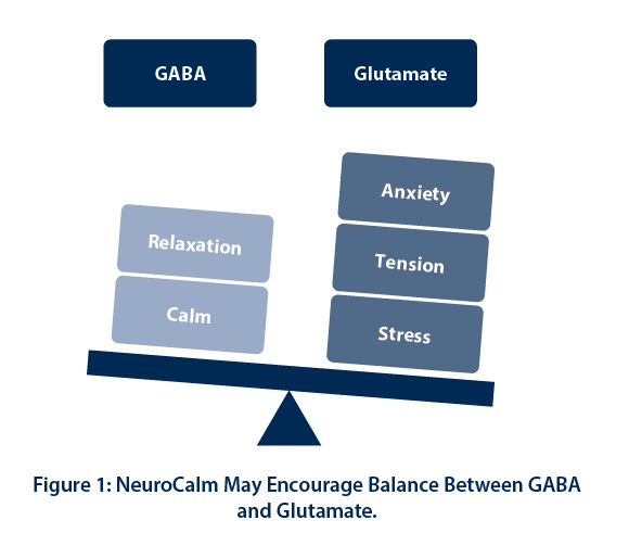 Figure 1: NeuroCalm May Encourage Balance Between GABA and Glutamate.